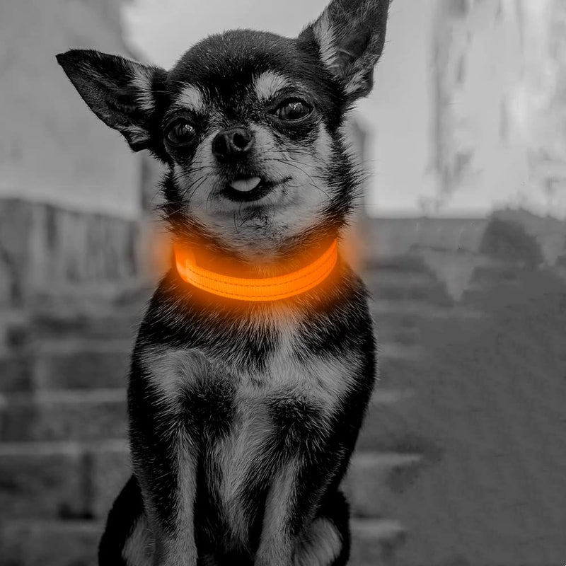 Candofly Light Up Dog Collar, USB Rechargeable Glowing Puppy Collar, Dog Camping Essentials - LED Collars for Night Walking (X-Small, Orange) - Image 1
